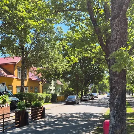 Apartment Cozy Close To The Parnu